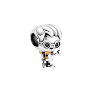 Charm Harry Potter