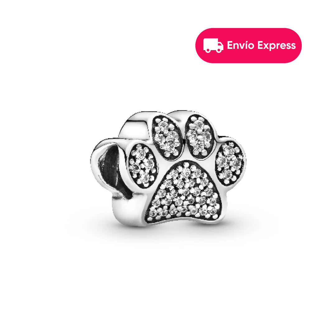 Charm Perro Huella Envío Express