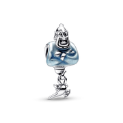 Charm Genio Aladdin