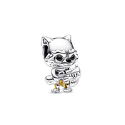 Charm Rocket Racoon