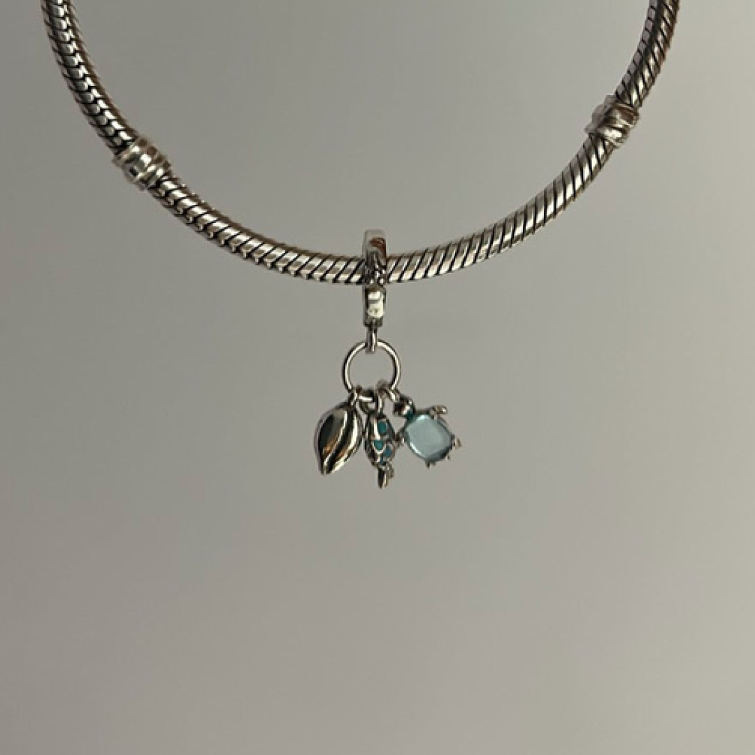 Charm Viaje al Oceano