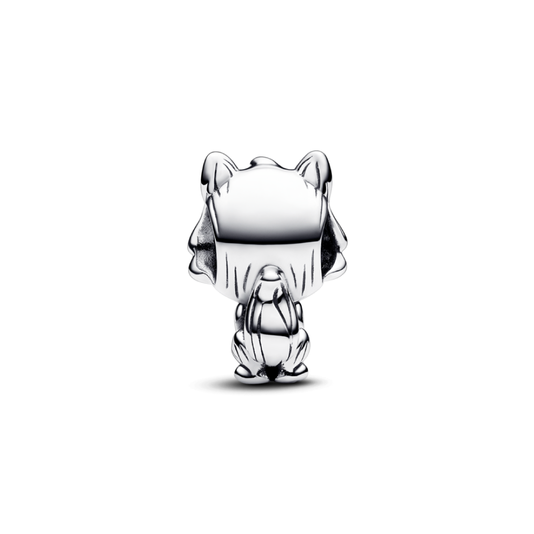 Charm Ghost