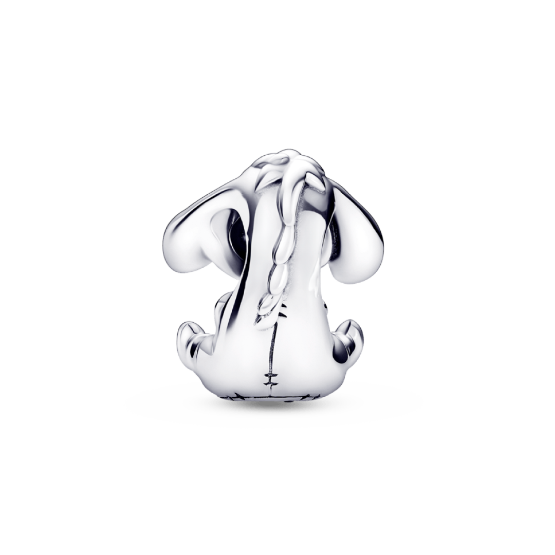 Charm Igor