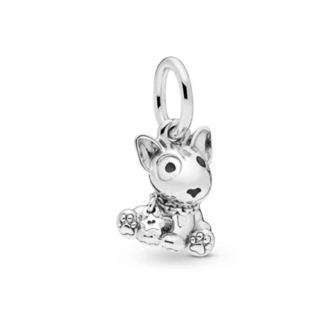 Charm Bull Terrier