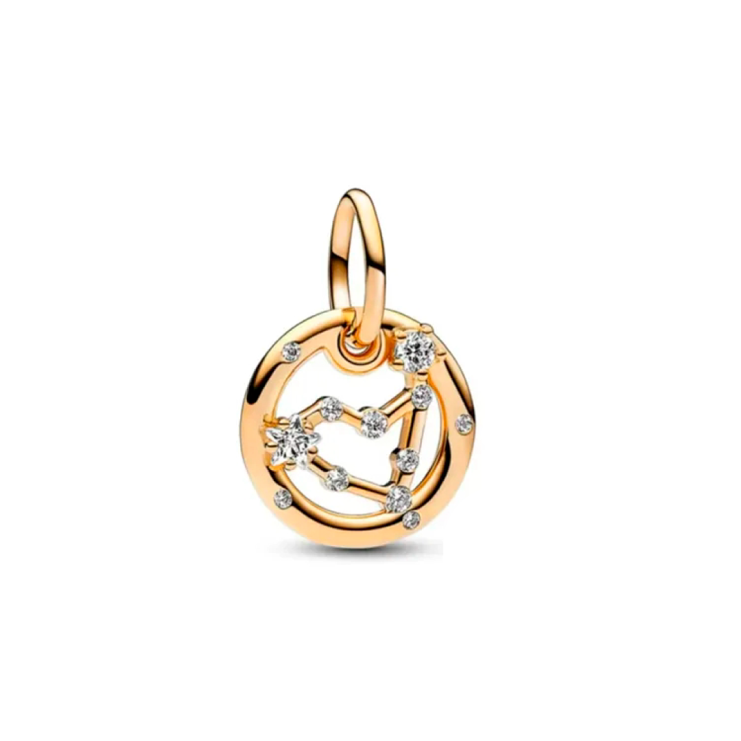 Charm Constelación Capricornio