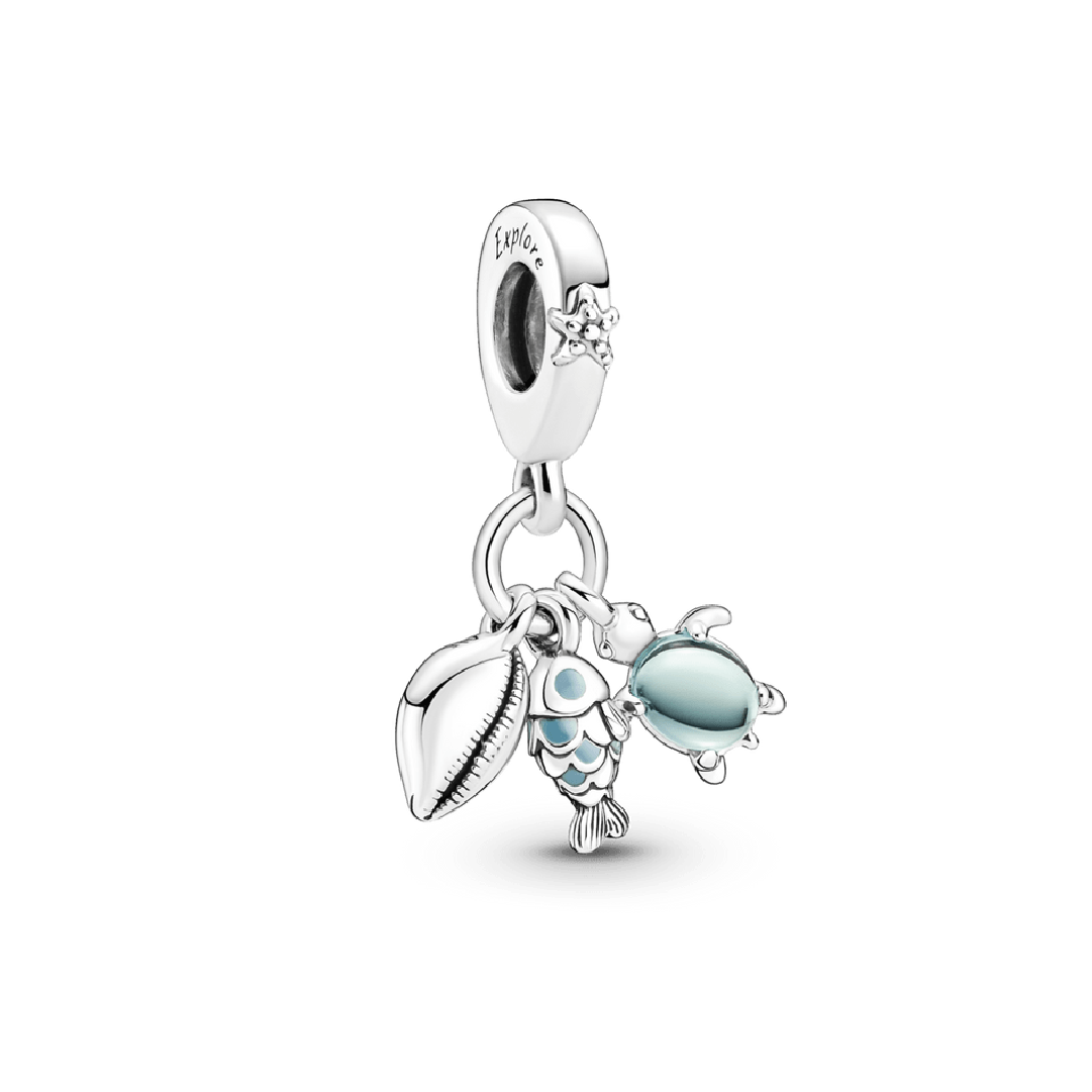 Charm Viaje al Oceano