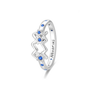 Anillo Acuario