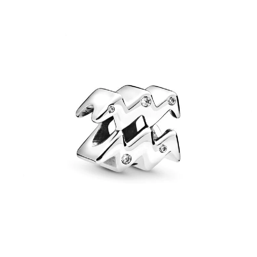 Charm Acuario