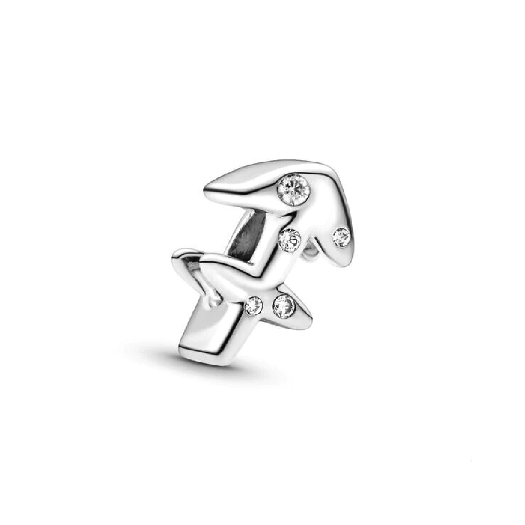 Charm Sagitario
