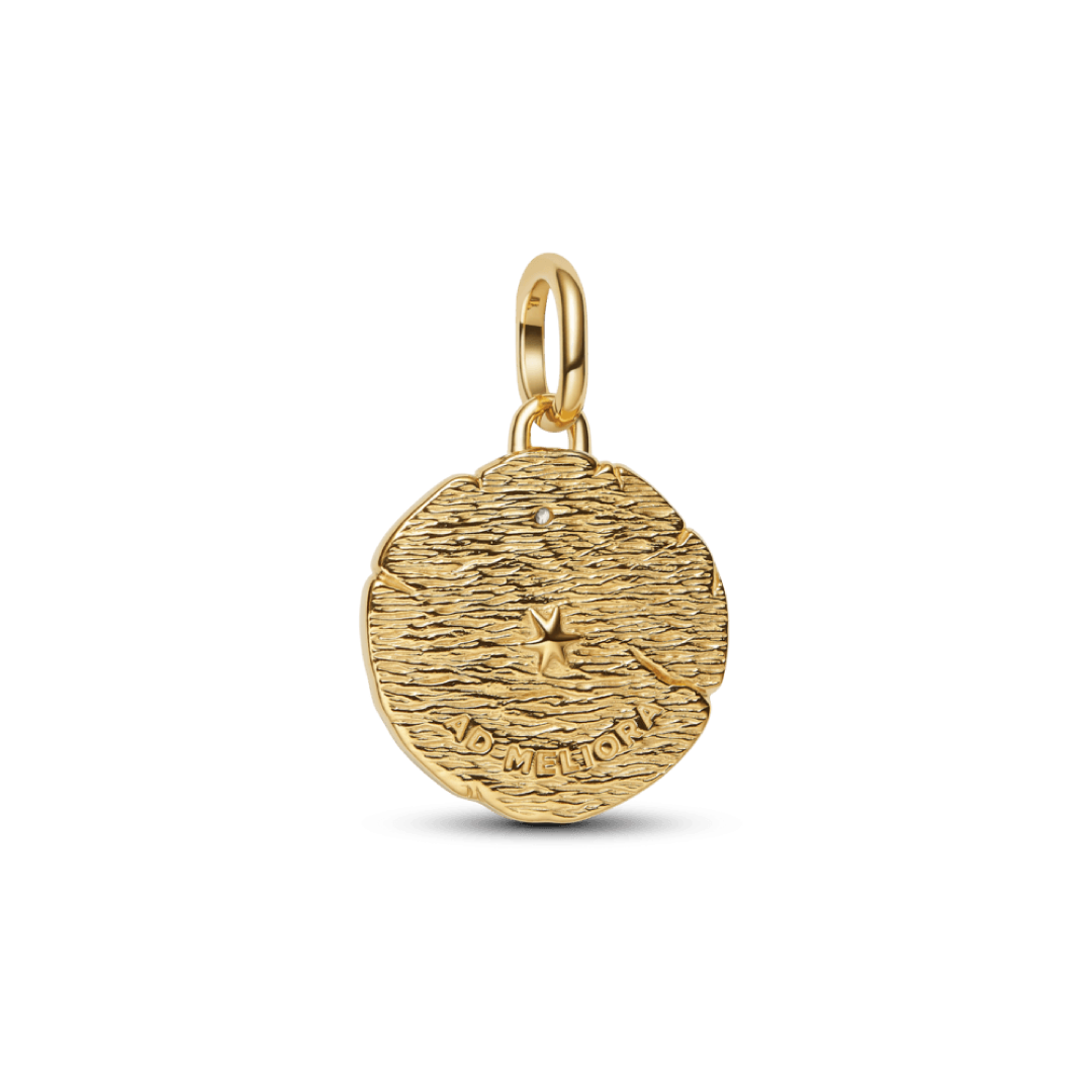 Charm Talisman Flechas