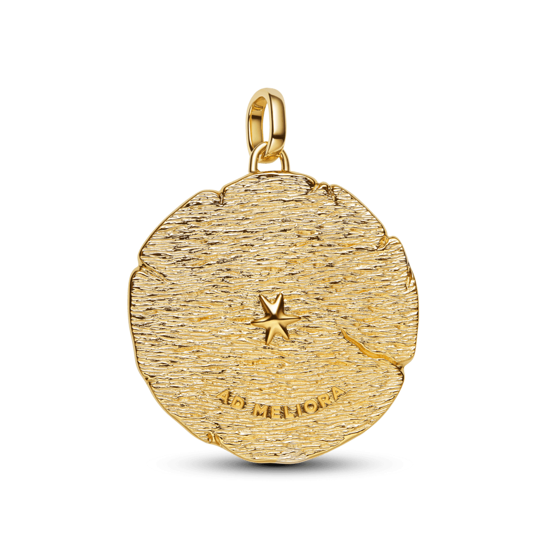 Charm Talisman Flechas Grande