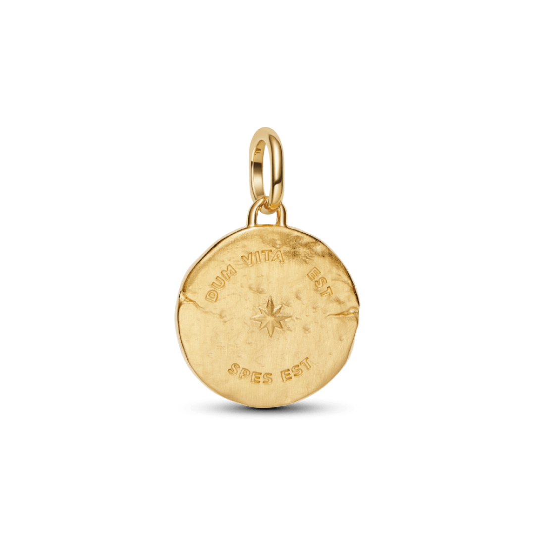 Charm Talisman Golondrina