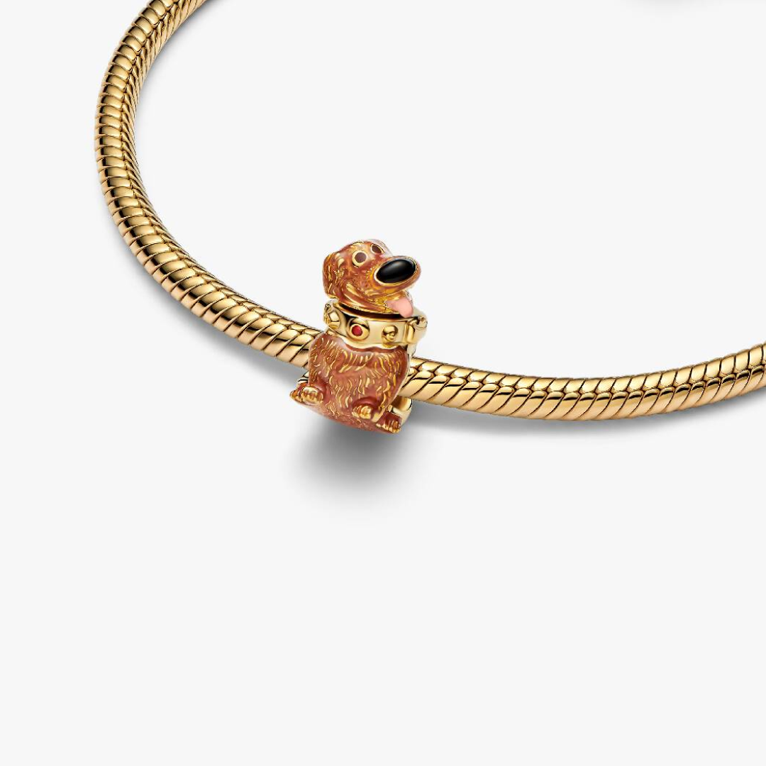 Charm Dug Up
