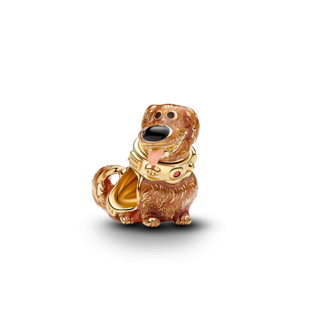 Charm Dug Up