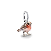 Charm Colgante Robin