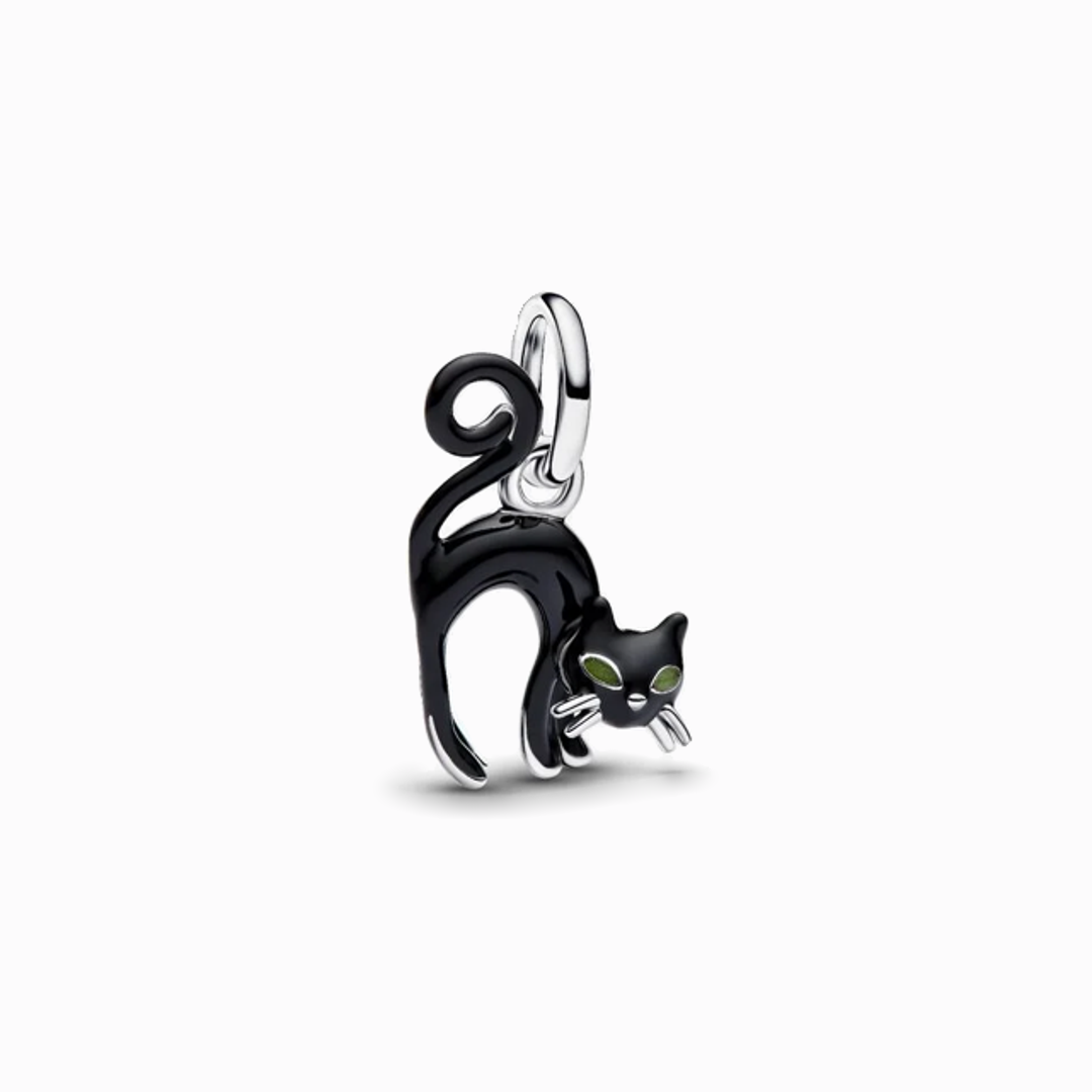 Charm Gato Negro